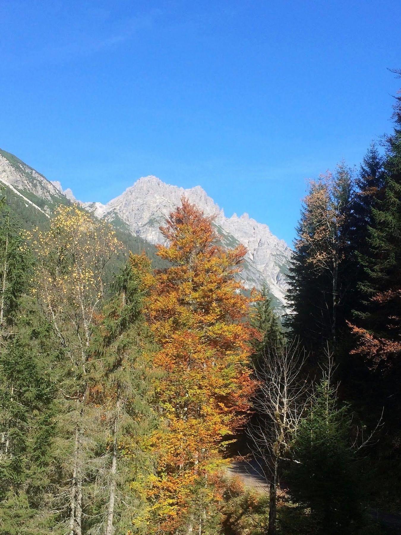 Pension Alpenperle Holzgau Εξωτερικό φωτογραφία